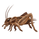 Illustration for article titled The 69 New Emoji Candidates, Ranked